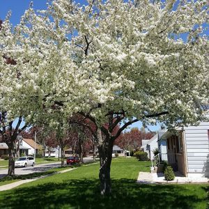 Meet your Posher, Suzanne